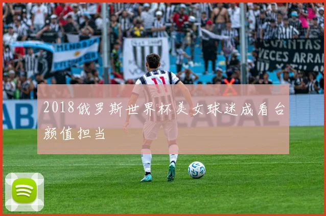 2018俄罗斯世界杯美女球迷成看台颜值担当